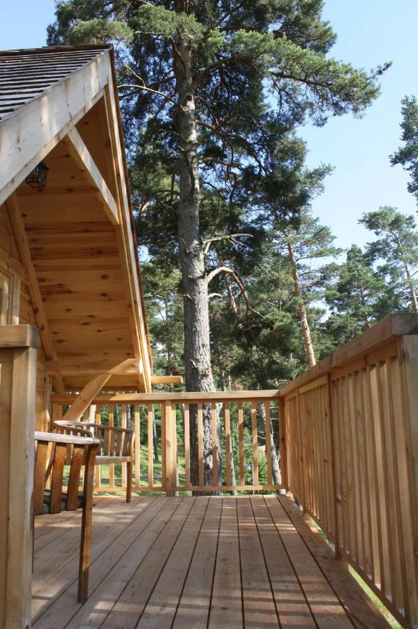 Cabane Lodge Domaine Du Lac Chambon Murol Kültér fotó
