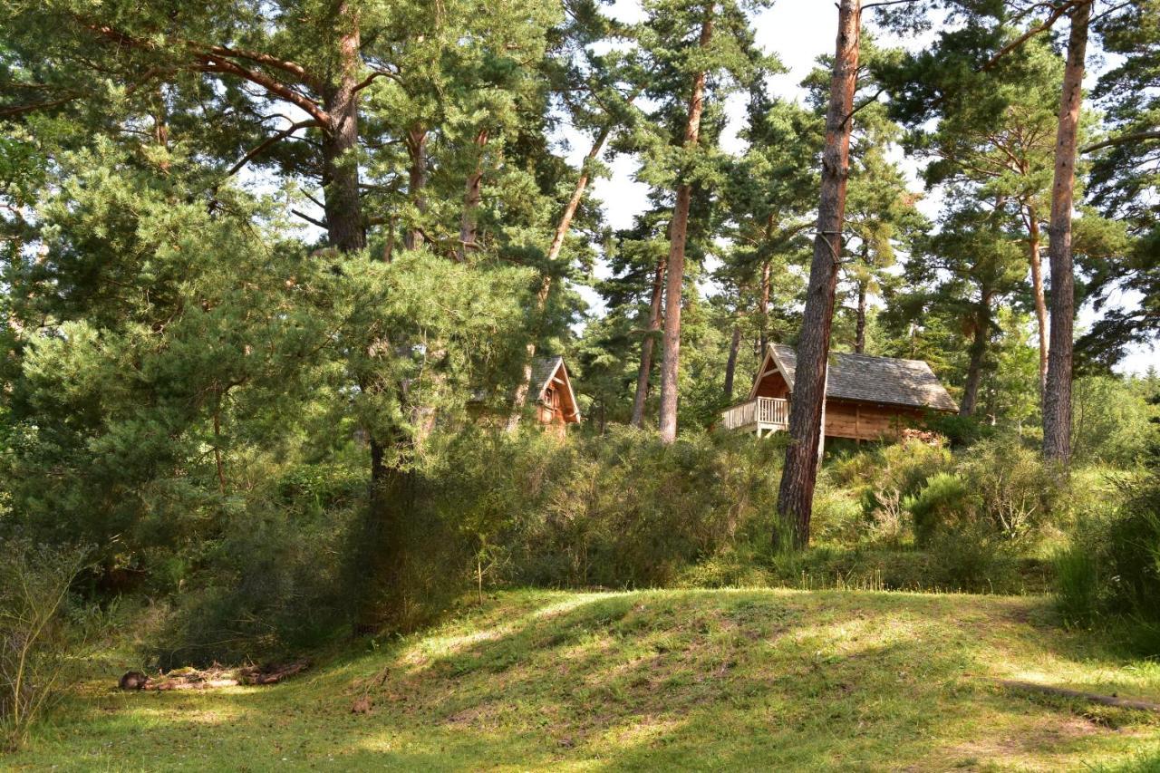 Cabane Lodge Domaine Du Lac Chambon Murol Kültér fotó